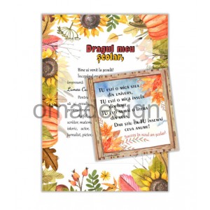 *Set cadou prima zi de scoala (model 19)