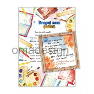 *Set cadou prima zi de scoala (model 23)