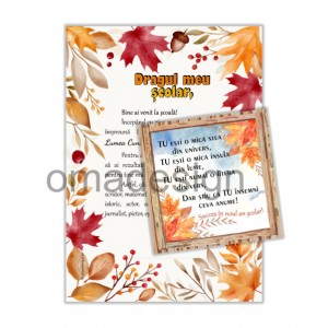 *Set cadou prima zi de scoala (model 27)