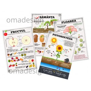 Set 4 Planse Plante - A2 sau A1