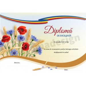 Diploma de excelenta 18 Diploma de excelenta 18