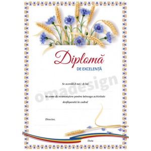 Diploma de excelenta 20 Diploma de excelenta 20