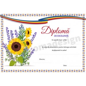 Diploma de excelenta 21 Diploma de excelenta 21