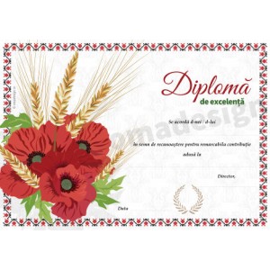 Diploma de excelenta 03 Diploma de excelenta 03