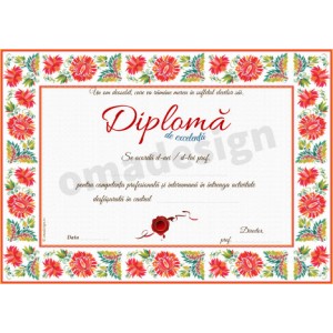 Diploma de excelenta 07 Diploma de excelenta 07