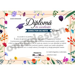 Diploma de excelenta 22 Diploma de excelenta 22