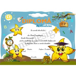 Diploma Steluta 1