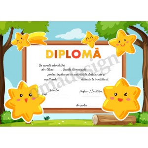 Diploma Steluta 2