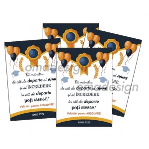*Set 8 Magneti Absolvire (model 6) *Set 8 Magneti Absolvire (model 6)