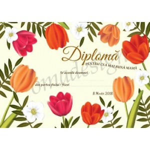 Diploma Martie 64 